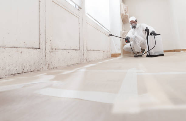 24/7 Emergency Black Mold Remediation experts in Pineville, PA